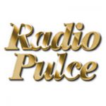 listen_radio.php?radio_station_name=11796-radio-pulce