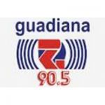 listen_radio.php?radio_station_name=13301-radio-guadiana