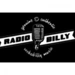 listen_radio.php?radio_station_name=14130-radiobilly