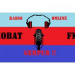 listen_radio.php?radio_station_name=1590-radio-kobat-fm