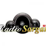 listen_radio.php?radio_station_name=1715-radio-sargam