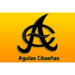 listen_radio.php?radio_station_name=17706-aguilas-cibaenas-radio