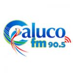 listen_radio.php?radio_station_name=17921-caluco-fm