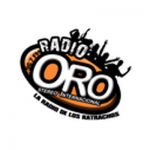 listen_radio.php?radio_station_name=18479-radio-oro-stereo