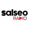 listen_radio.php?radio_station_name=19782-salseo-radio