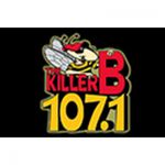 listen_radio.php?radio_station_name=21293-the-killer-b-107-1-fm