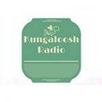 listen_radio.php?radio_station_name=21956-kungaloosh-radio