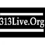 listen_radio.php?radio_station_name=22262-313-live-org
