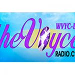 listen_radio.php?radio_station_name=24532-the-voyce-radio-the-resistance