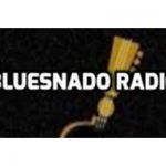 listen_radio.php?radio_station_name=31236-bluesnado-radio