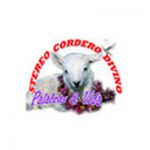 listen_radio.php?radio_station_name=31240-stereo-cordero-divino