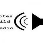 listen_radio.php?radio_station_name=31980-bote-s-southernmost-feed