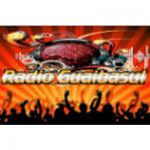 listen_radio.php?radio_station_name=33027-radio-guaibasul