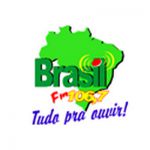 listen_radio.php?radio_station_name=34995-radio-brasil-fm
