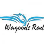 listen_radio.php?radio_station_name=3563-wagoods-radio