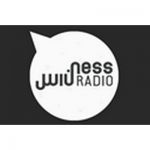 listen_radio.php?radio_station_name=3788-ness-radio