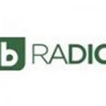listen_radio.php?radio_station_name=4958-btv-radio