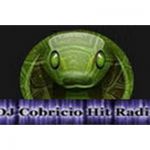 listen_radio.php?radio_station_name=5012-dj-cobricio-hit-radio