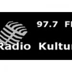 listen_radio.php?radio_station_name=5354-radio-kultur