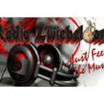 listen_radio.php?radio_station_name=7953-radio-zwiebeldorf