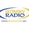 listen_radio.php?radio_station_name=13063-slonky-radio