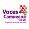listen_radio.php?radio_station_name=19230-voces-campeche