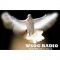 listen_radio.php?radio_station_name=25561-wsog-catholic-radio-88-1-fm