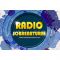 listen_radio.php?radio_station_name=28165-radio-sobrenatural-tx
