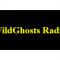 listen_radio.php?radio_station_name=30068-wild-ghost-radio