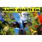 listen_radio.php?radio_station_name=9319-radio-charts-fm