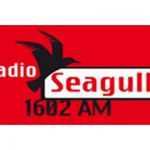 listen_radio.php?radio_station_name=12438-radio-seagull