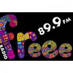 listen_radio.php?radio_station_name=13135-freee-89-9-fm