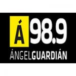 listen_radio.php?radio_station_name=19048-angel-guardian
