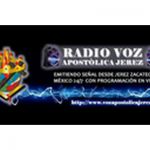 listen_radio.php?radio_station_name=19242-radio-voz-apostolica-jerez