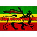 listen_radio.php?radio_station_name=21227-reggae-showtime-radio