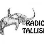 listen_radio.php?radio_station_name=3397-radio-tassili-fm-88