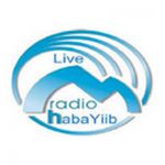 listen_radio.php?radio_station_name=3778-radio-habayiib