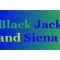 listen_radio.php?radio_station_name=12878-black-jack-and-siena