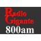 listen_radio.php?radio_station_name=17617-radio-gigante