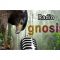 listen_radio.php?radio_station_name=32686-radio-gnosis
